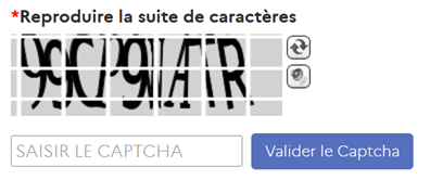 Cette image est décorative et n'apporte pas d'informations utiles aux lecteurs d'écran.